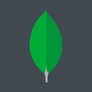 MongoDB 设计 - MongoDB 开源设计规范